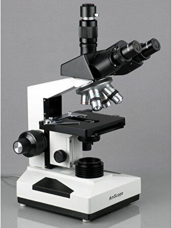 AmScope T490 Bileşik Trinoküler Mikroskop
