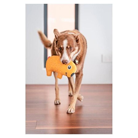 Reddingo Dayanıklı Yumuşak Köpek Oyuncağı - Vombat 