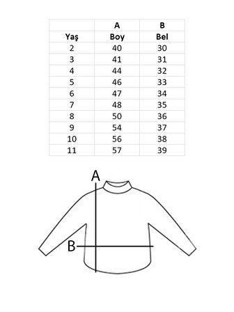 Erkek Çocuk Polo Yaka Tişört 2-11 Yaş Style Classic