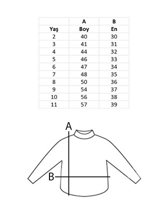 Erkek Çocuk Yakalı Tişört 2-11 Yaş Polo Yaka T-Shirt Gizli Fermuar Clas