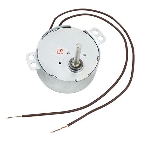 220v 15r/mıt Dc Şömine Motoru [motor Saplaması 3,9 Mm]