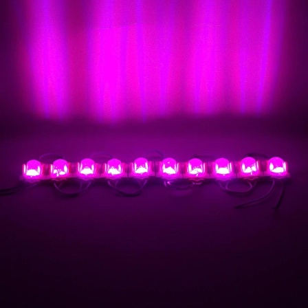 Modül Led 24v 1.4w Pembe 48x30 Mm 2835