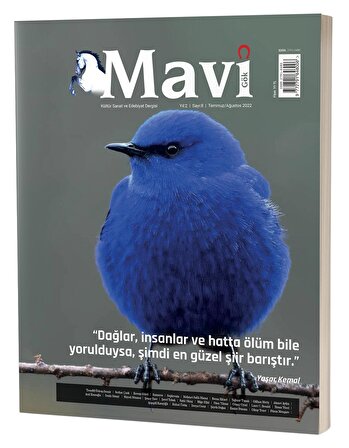 Mavi Gök Kültür Sanat Ve Edebiyat Dergisi Sayı & 8