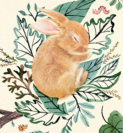 İyi Geceler Minik Tavşan/ Mini Hayvan Masallar