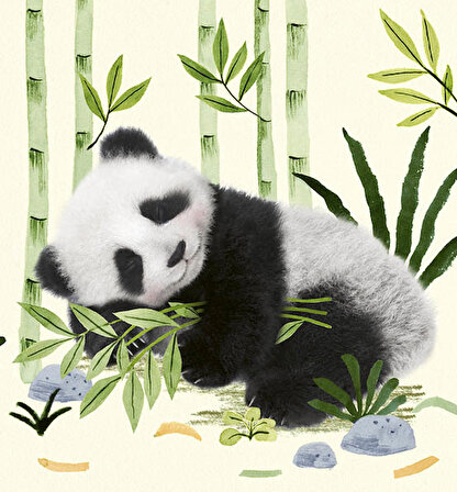 İyi Geceler Minik Panda/ Mini Hayvan Masalları