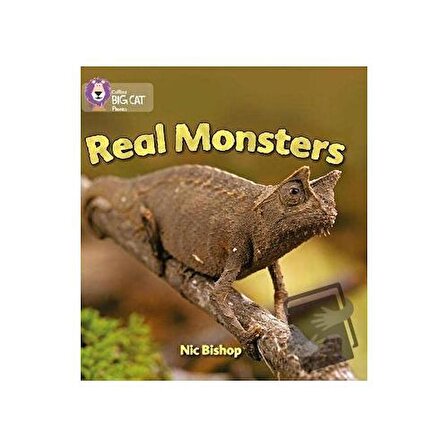 Real Monsters (Big Cat Phonics 3 Yellow) / HarperCollins / Nic Bishop