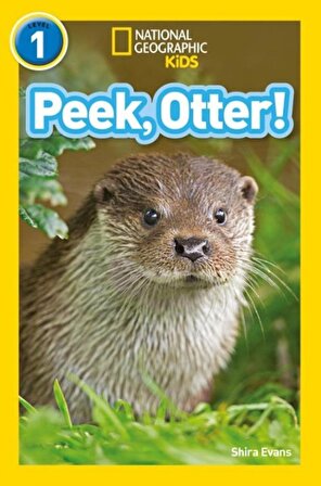 Peek, Otter! (NGR-1)
