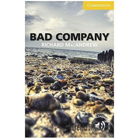 Bad Company: Paperback / Cambridge Yayınları / Richard MacAndrew