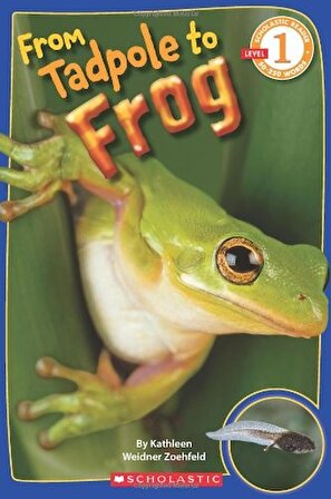 From Tadpole to Frog (Scholastic Reader Level 1)