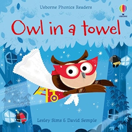 Owl in a Towel