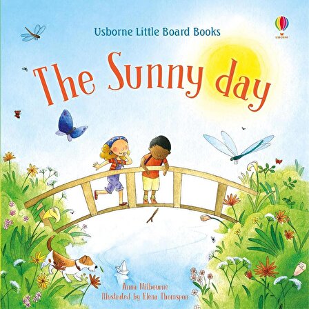 The Sunny Day (Little Board Books)