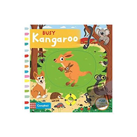 Busy Kangaroo / Pan Macmillan / Kolektif