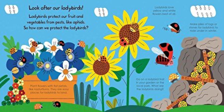 Ladybird - My Little Green World