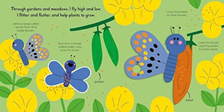 Butterfly - My Little Green World