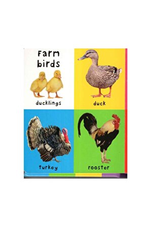 Priddy Books First Farm Words : First 100 Soft To 
