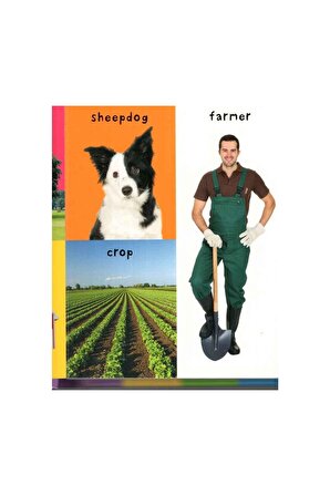 Priddy Books First Farm Words : First 100 Soft To 