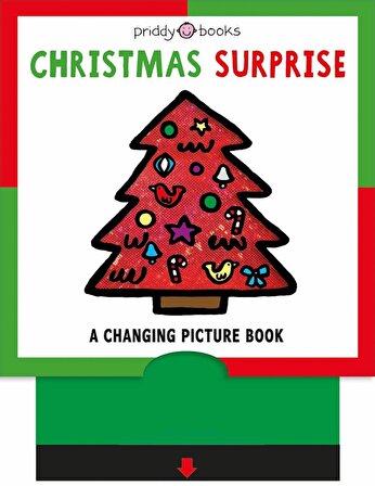 Christmas Surprise (Changing Picture Books)