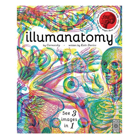 Wide Eyed Illumanatomy