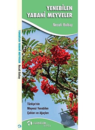 Yenebilen Yabani Meyveler / Avantür Kitap / Necati Balbay