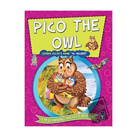 Pico the Owl Learns Allah's Name Al Mujeeb / Timaş Publishing / Nur Kutlu