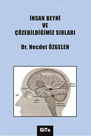 İnsan Beyni ve Çözebildiğimiz Sırları / Dr. Necdet Özgelen