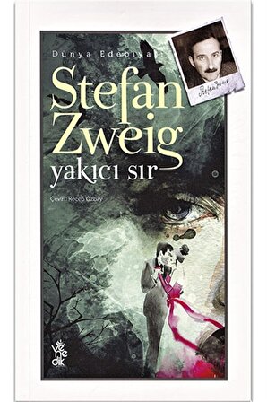 Venedik Yayınları Yakıcı Sır Stefan Zweig