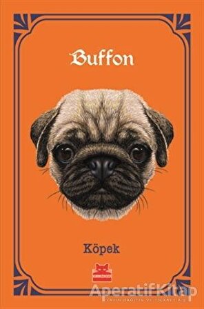 Köpek - Georges-Louis Leclerc Comte de Buffon - Kırmızı Kedi Yayınevi