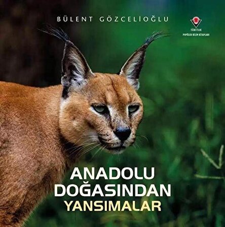 Anadolu Doğasından Yansımalar (Karton Kapak) / Bülent Gözcelioğlu