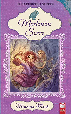 Merlin'in Sırrı