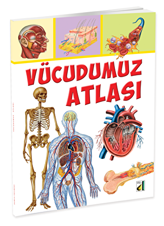 Vücudumuz Atlası - Vincenzo Umano - Damla Yayınevi