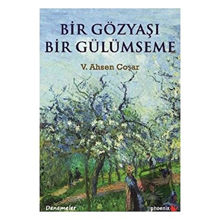 Bir Gözyaşı Bir Gülümseme / Phoenix Yayınevi / V. Ahsen Coşar