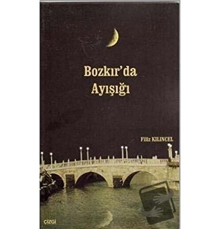 Bozkır’da Ayışığı / Çizgi Kitabevi Yayınları / Filiz Kılıncel