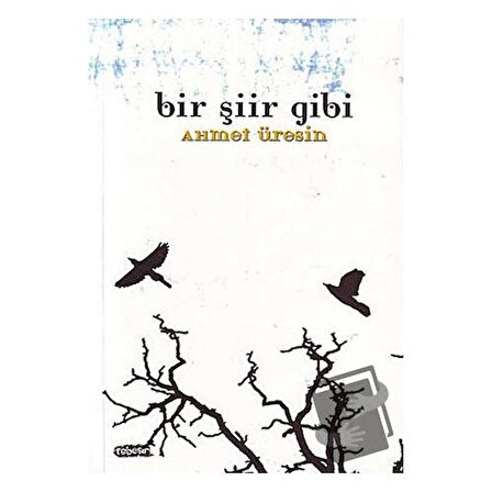 Bir Şiir Gibi / Tebeşir Yayınları / Ahmet Üresin