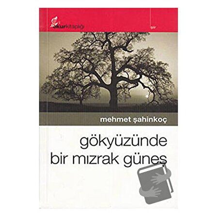 Gökyüzünde Bir Mızrak Güneş / Okur Kitaplığı / Mehmet Şahinkoç