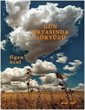 Gün Ortasında Gökyüzü / Figen Öcal