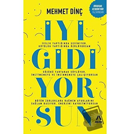 İyi Gidiyorsun / Aşina Yayınları / Mehmet Dinç