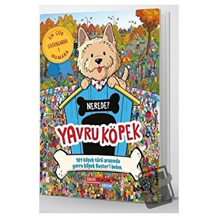 Yavru Köpek Nerede? / Dahi Olacak Çocuk Yayınları / Frances Evans