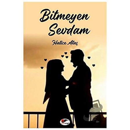 Bitmeyen Sevdam