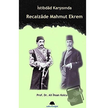 İstibdad Karşısında Recaizade Mahmut Ekrem / Salkımsöğüt Yayınları / Ali İhsan