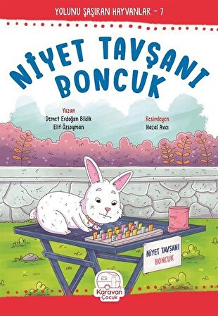 Niyet Tavşanı Boncuk / Elif Özsoyman