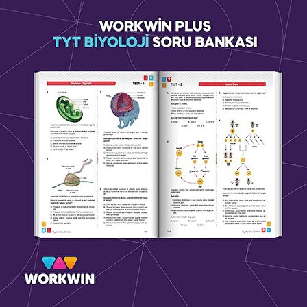 TYT Biyoloji Yeni Nesil Soru Bankası Workwin Plus