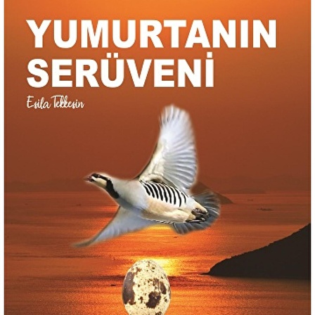 Yumurtanın Serüveni