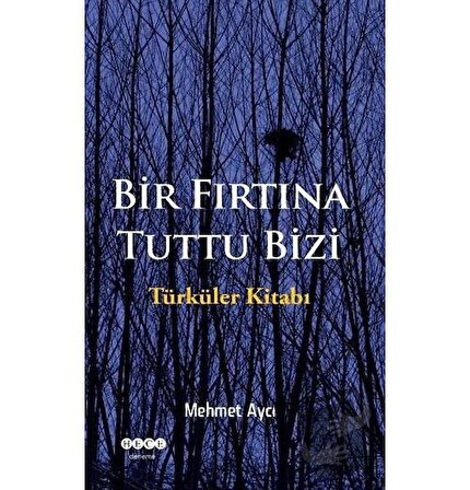 Bir Fırtına Tuttu Bizi / Hece Yayınları / Mehmet Aycı