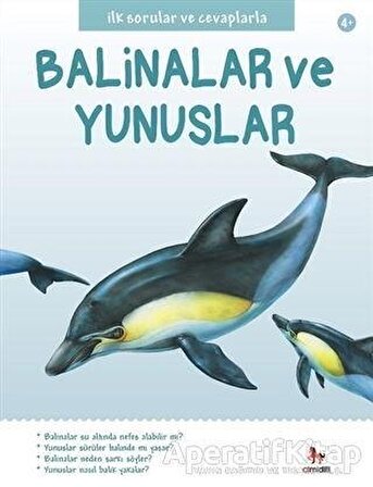 İlk Sorular ve Cevaplarla: Balinalar ve Yunuslar - Belinda Gallagher - Almidilli