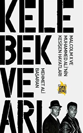 Kelebek ve Arı / Mehmet Ali Başaran