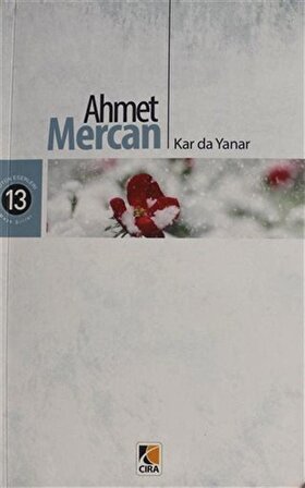 Kar Da Yanar / Ahmet Mercan