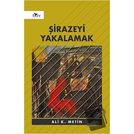 Şirazeyi Yakalamak / Edebiyat Ortamı Yayınları / Ali K. Metin