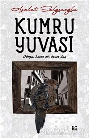 Kumru Yuvası - Asalet Salgınoğlu - Çınaraltı Yayınları