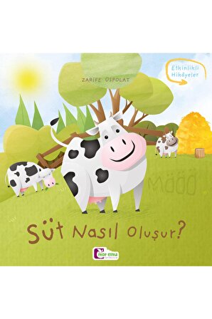 Süt Nasıl Oluşur - Oluşum Hikâyeleri - Okul Öncesi Kitabı