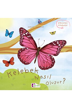Kelebek Nasıl Oluşur - Oluşum Hikâyeleri - Okul Öncesi Kitabı